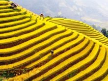 Du lịch SaPa Lào Cai tham quan những thắng cảnh nổi tiếng