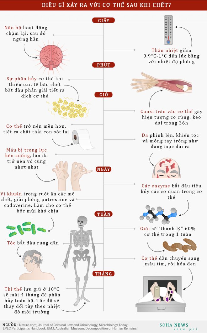 Cơ thể người biến đổi sau khi chết như thế nào?