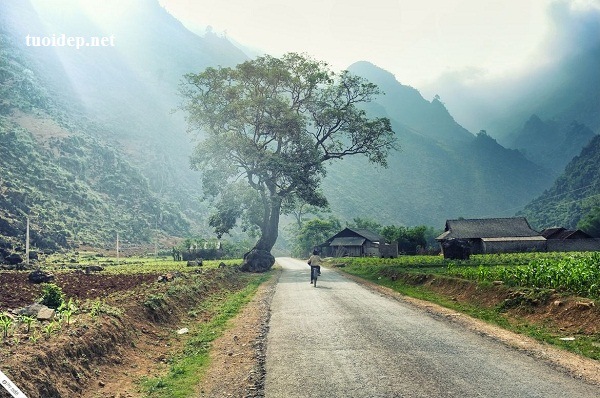 Cung đường phượt Hà Giang