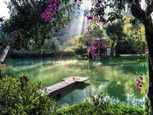 Ma rừng Lữ Quán - Đà Lạt