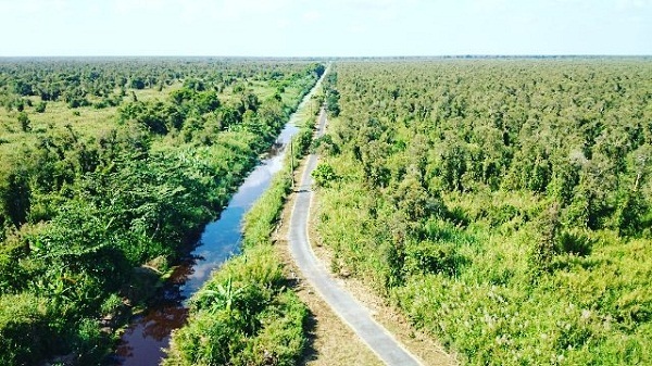 Rừng tràm U Minh Hạ