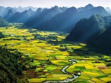 Bắc Sơn mùa lúa chín