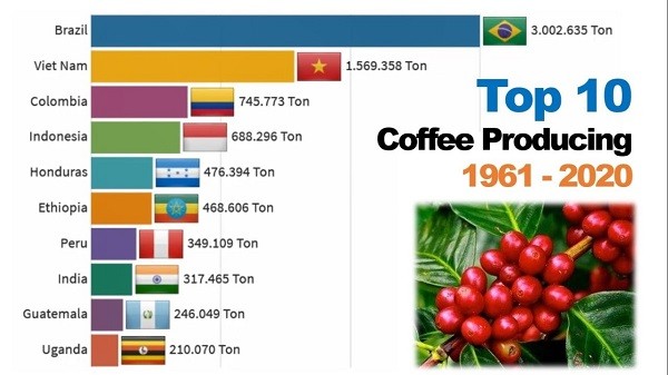 Top 5 nước nổi tiếng về sản xuất cà phê hiện nay