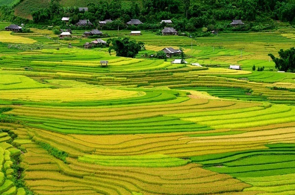 Phong cảnh Pù Luông