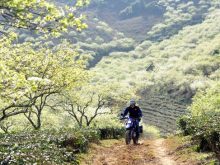 Phượt Thung Nai - Hòa Bình