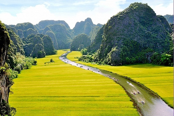 Tam Cốc Bích Động mùa lúa chín