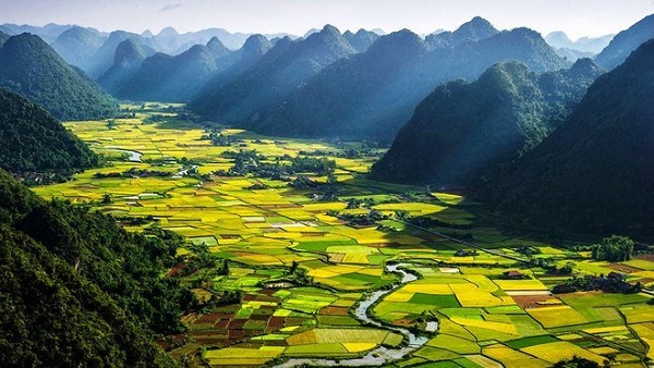 Bắc Sơn mùa lúa chín